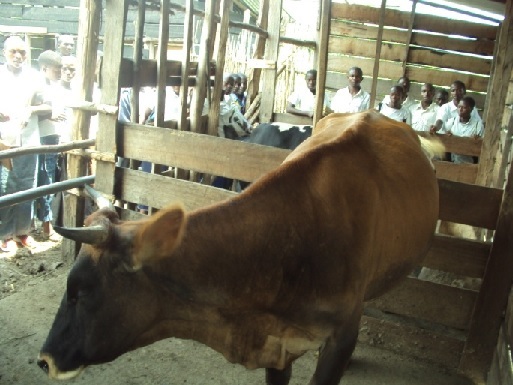 lezione di fisiologia